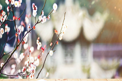 碩士報(bào)考法國(guó)蒙彼利埃大學(xué)國(guó)際碩士有什么好處？